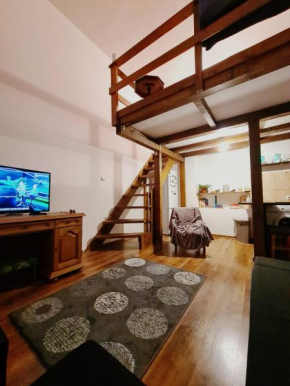 Cozy mezzanine city center
